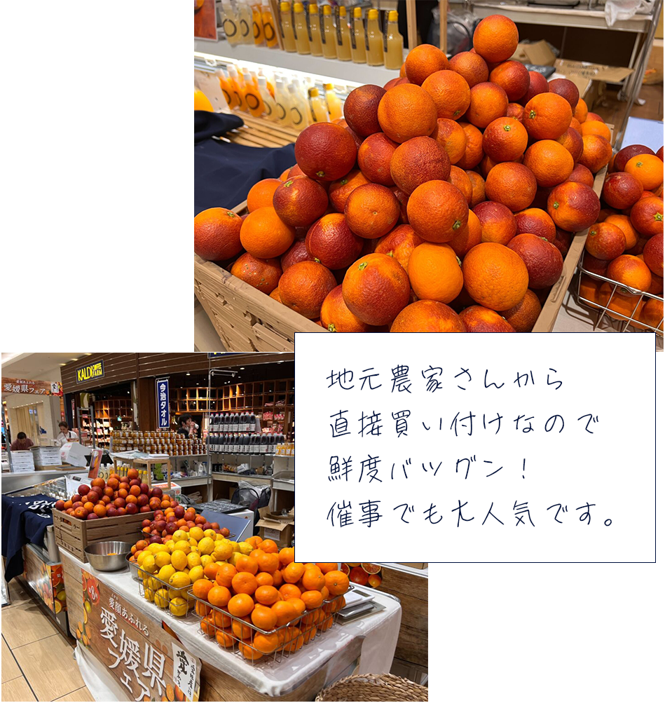 愛媛県産ブラッドオレンジ