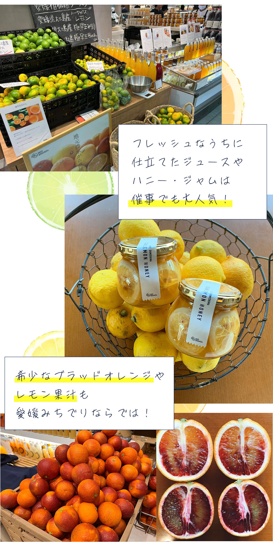 愛媛県産柑橘特集
