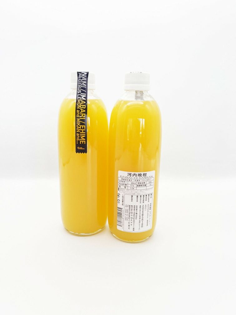 河内晩柑ジュース500ml | 愛媛今治通販 VALIQUE（バルク）